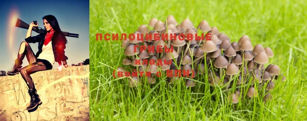 дмт Кодинск