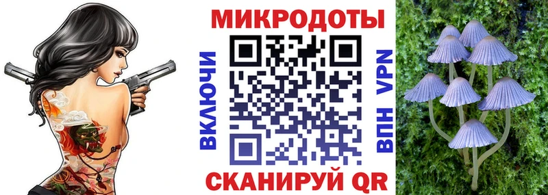 Псилоцибиновые грибы Cubensis  даркнет сайт  Суздаль 